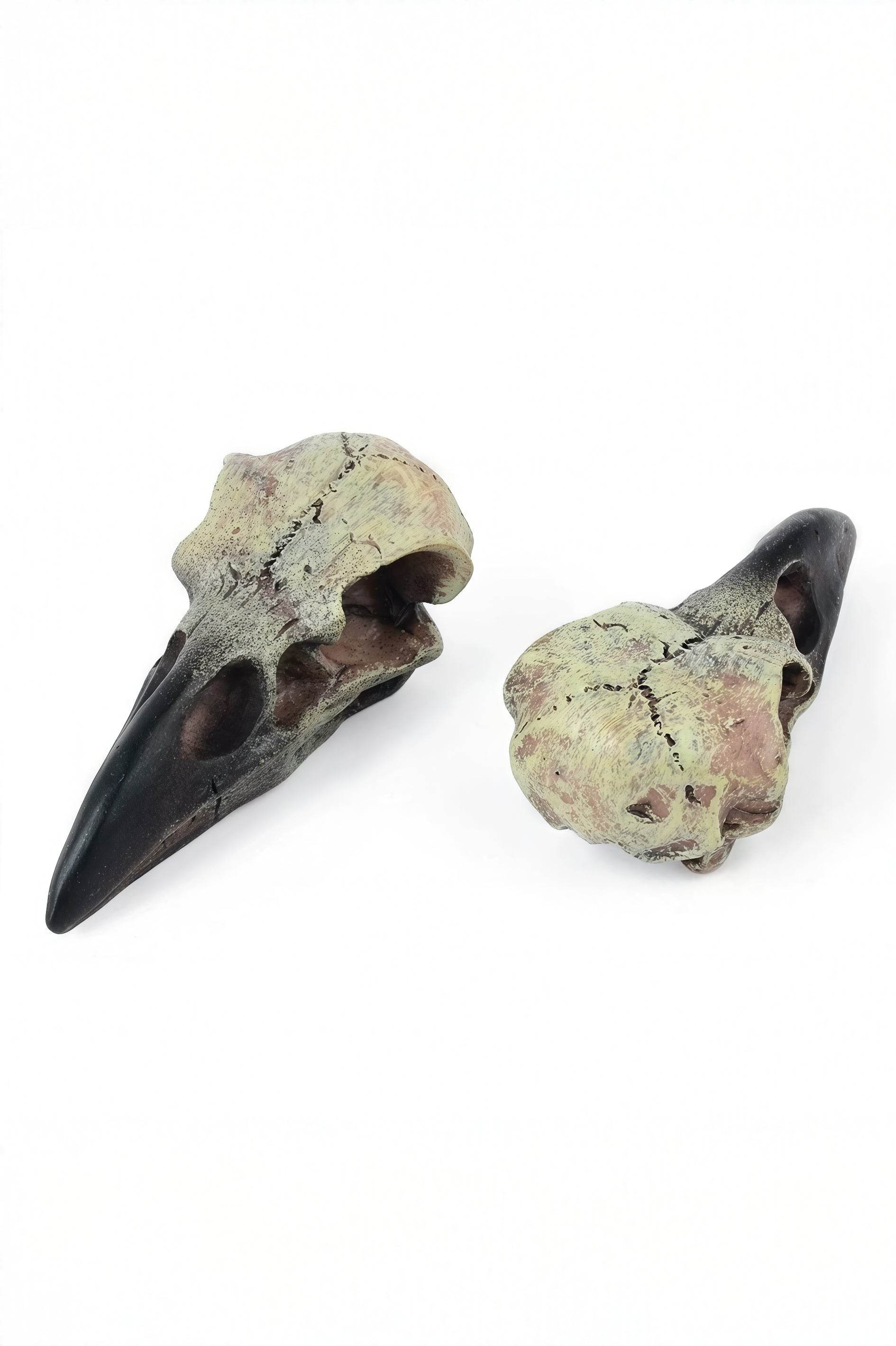 Gothic Raven Skull Pendant Necklace