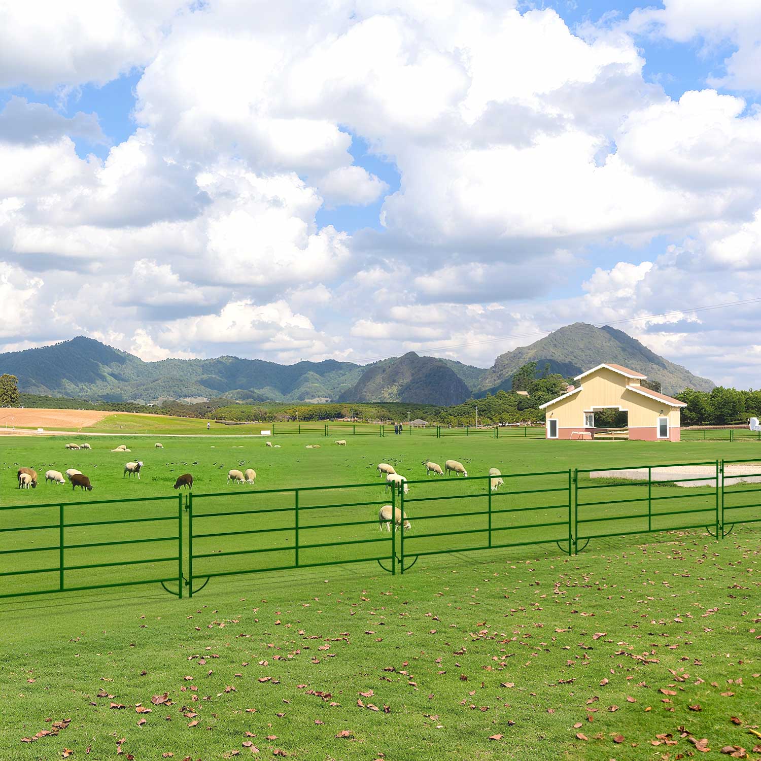 10x5 ft Cattle Panels Livestock Fence Panels, 28pcs