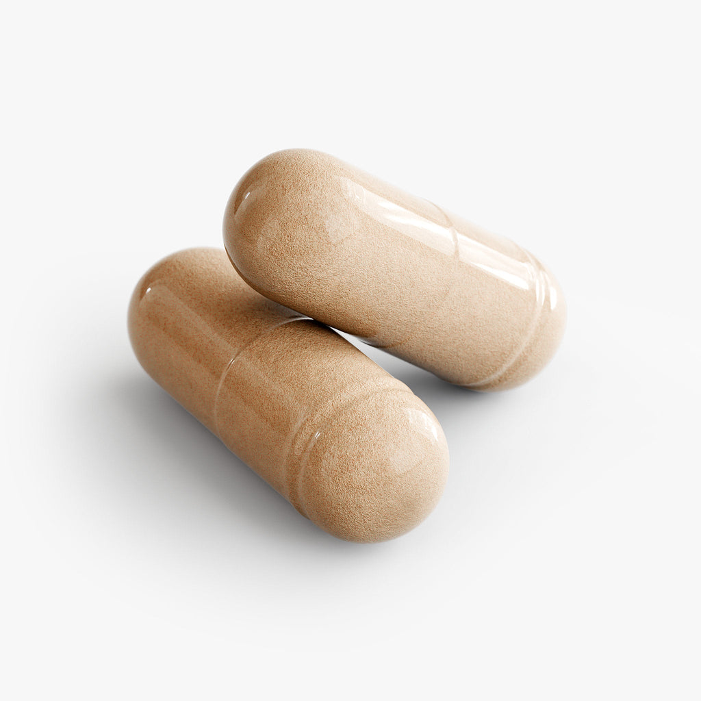 Mushroom 10X – 10 Mushroom Complex for Wellness, Mental Clarity & Immune Support | Lion’s Mane, Reishi & Cordyceps | 60 Caps