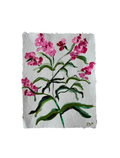 Wild Hyacinth IV