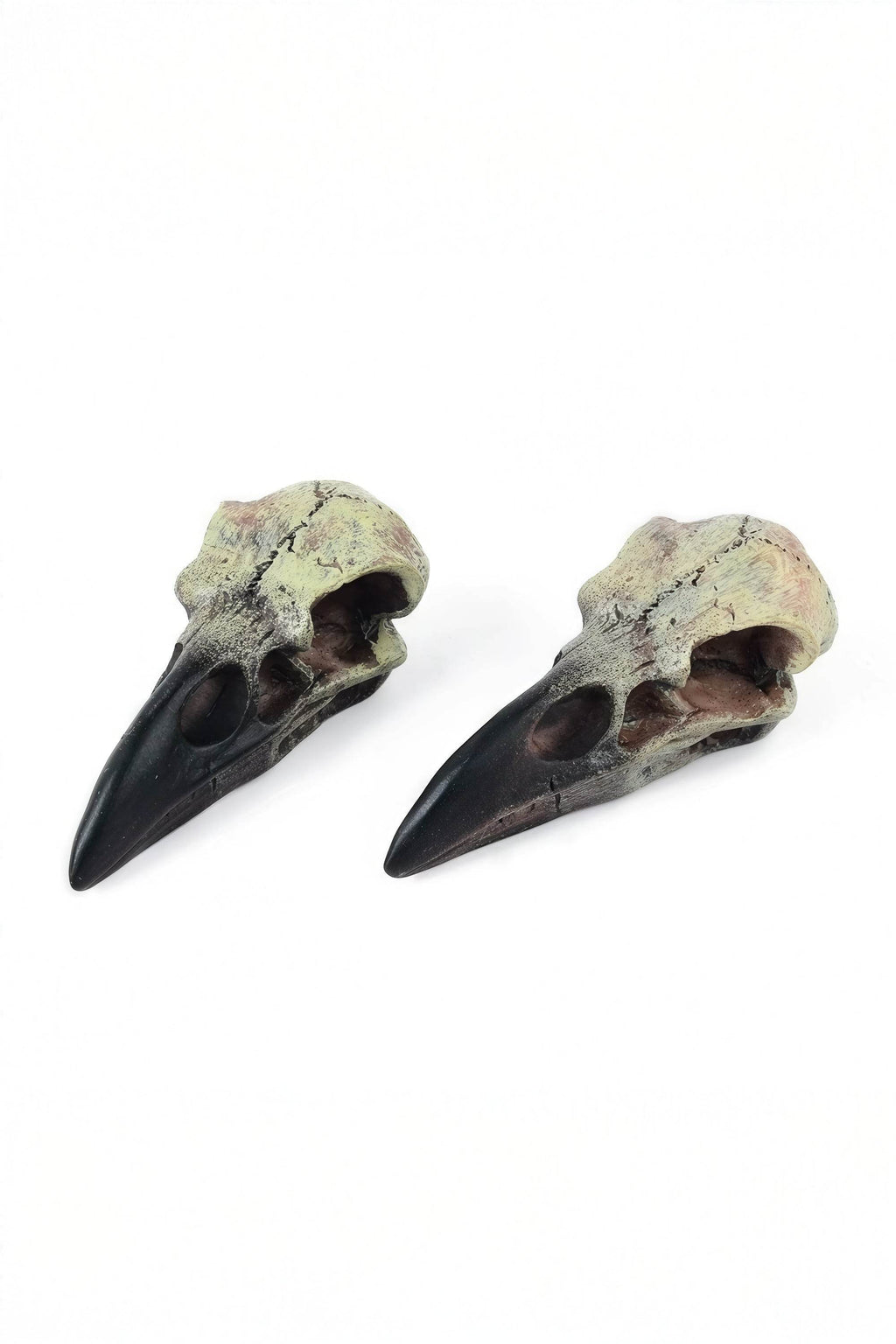 Gothic Raven Skull Pendant Necklace