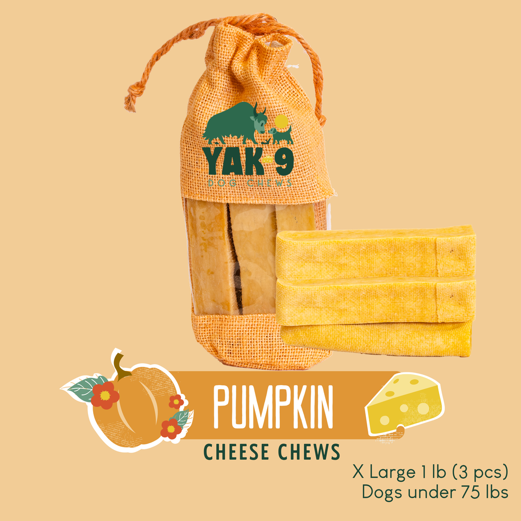 Pumpkin Cheese Chews for Dogs