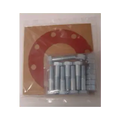2-1/2" Bolt Nut Gasket Pack for Fire Protection Systems