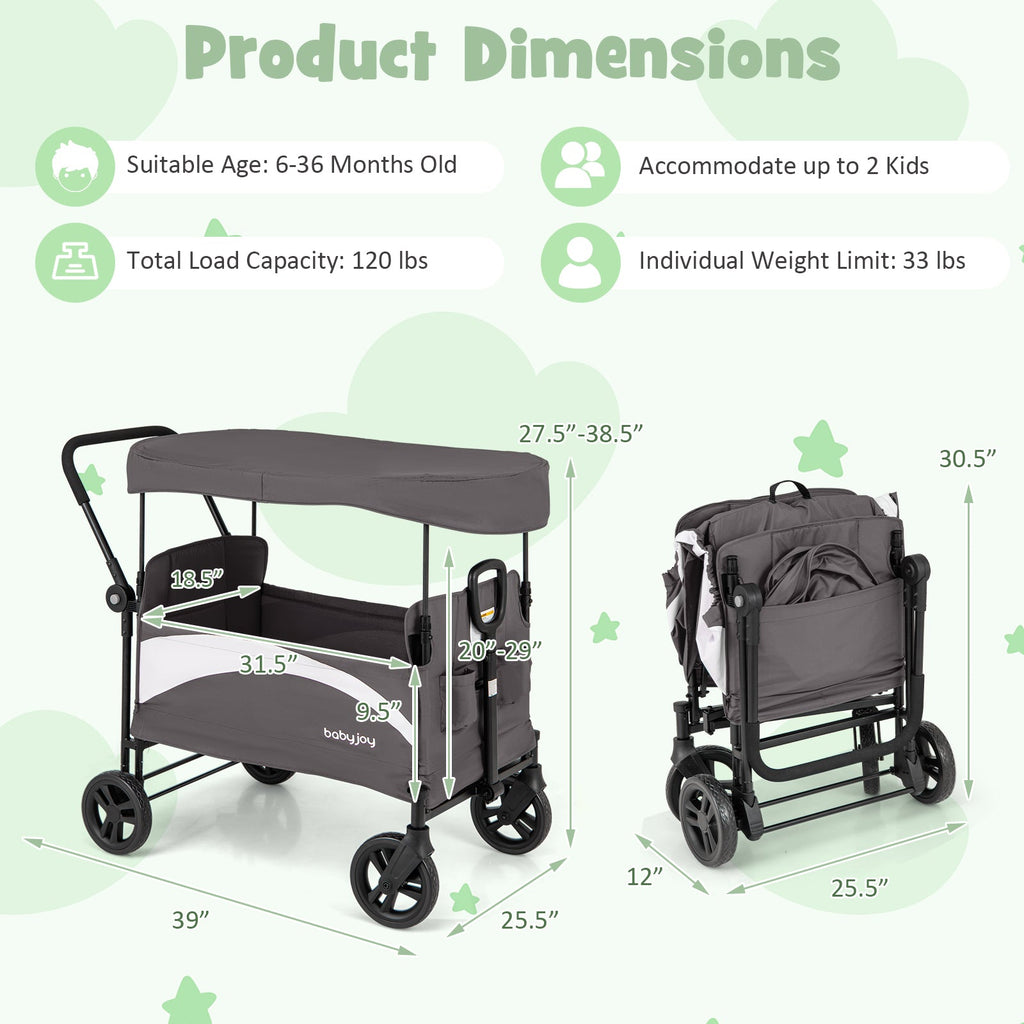 2-Seat Stroller Wagon with Adjustable Canopy and Handles