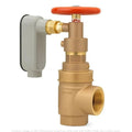 2" Reduced Pressure Valve Tamper Shutoff for Safety Systems