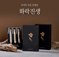 Freeze-dried 5-Year-Old Wild Ginseng with Gift Box (Large 3 Roots)