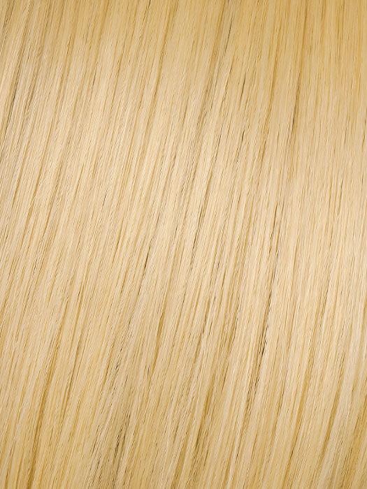 Hairdo 25" Straight Wrap-Around Pony (HF Synthetic Ponytail)