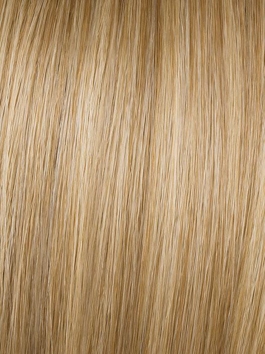 Hairdo 25" Straight Wrap-Around Pony (HF Synthetic Ponytail)
