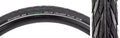 Schwalbe Delta Cruiser Plus Hybrid Tire 700x38C Wire Clincher Green Compound PunctureGuard Reflex 50TPI Black