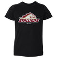Birmingham Stallions Primary Logo WHT
