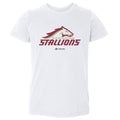 Birmingham Stallions Primary Logo