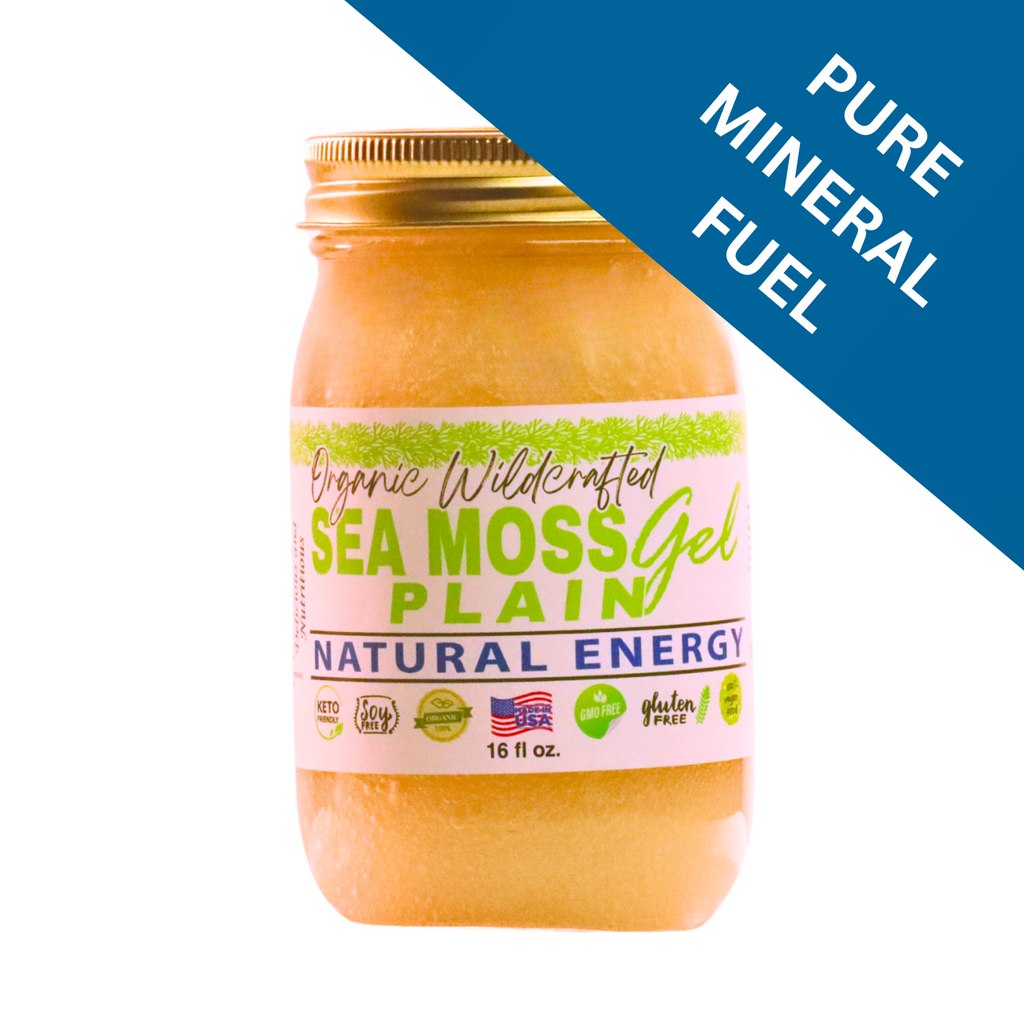 Sea Moss Gel - Original Flavor 16oz