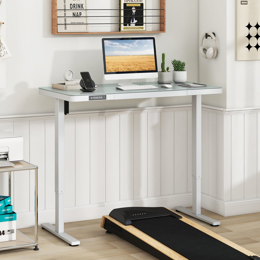 48-Inch Height Adjustable Electric Standing Desk with Drawer