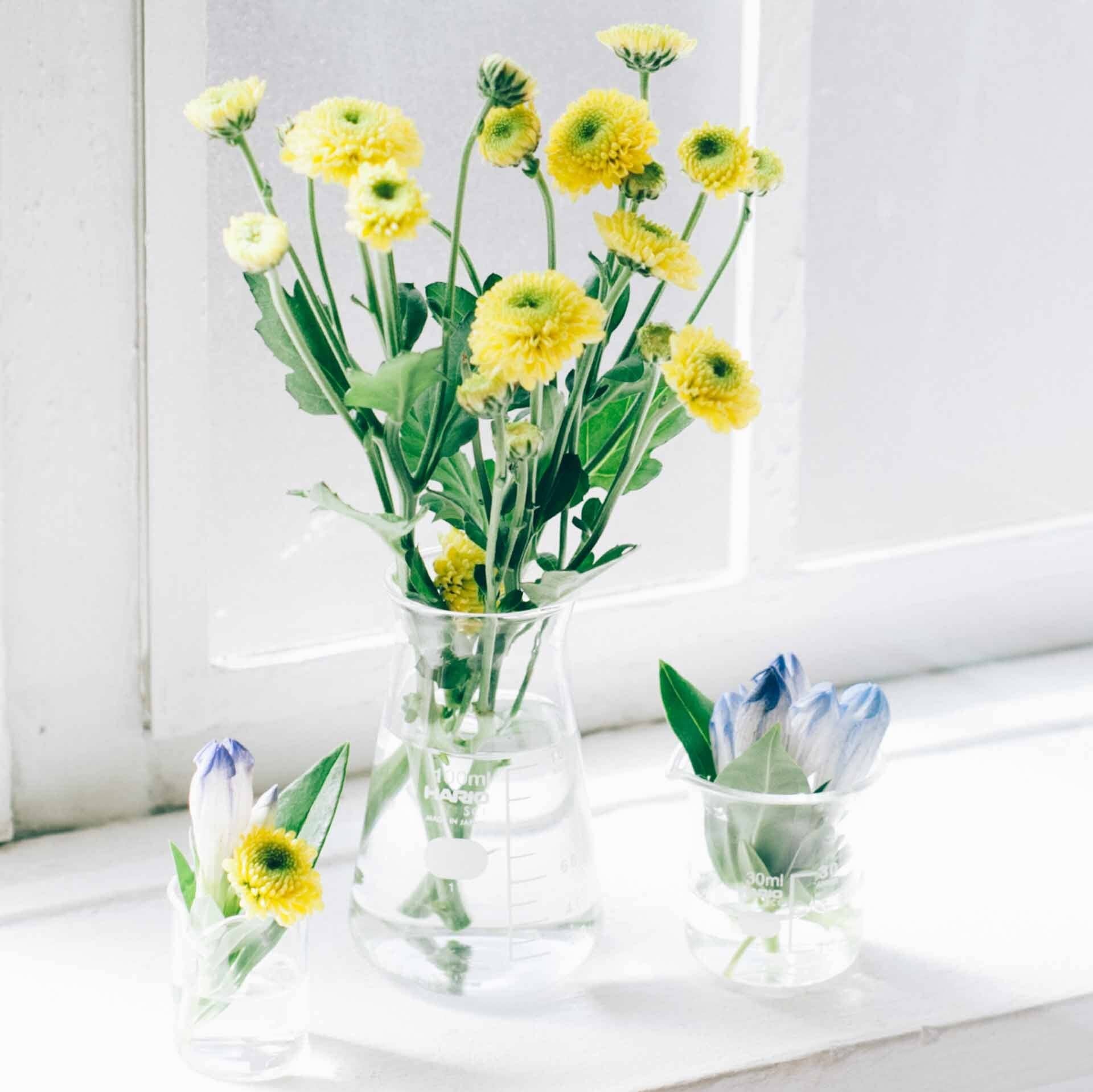 Hario - Conical Beaker Vase