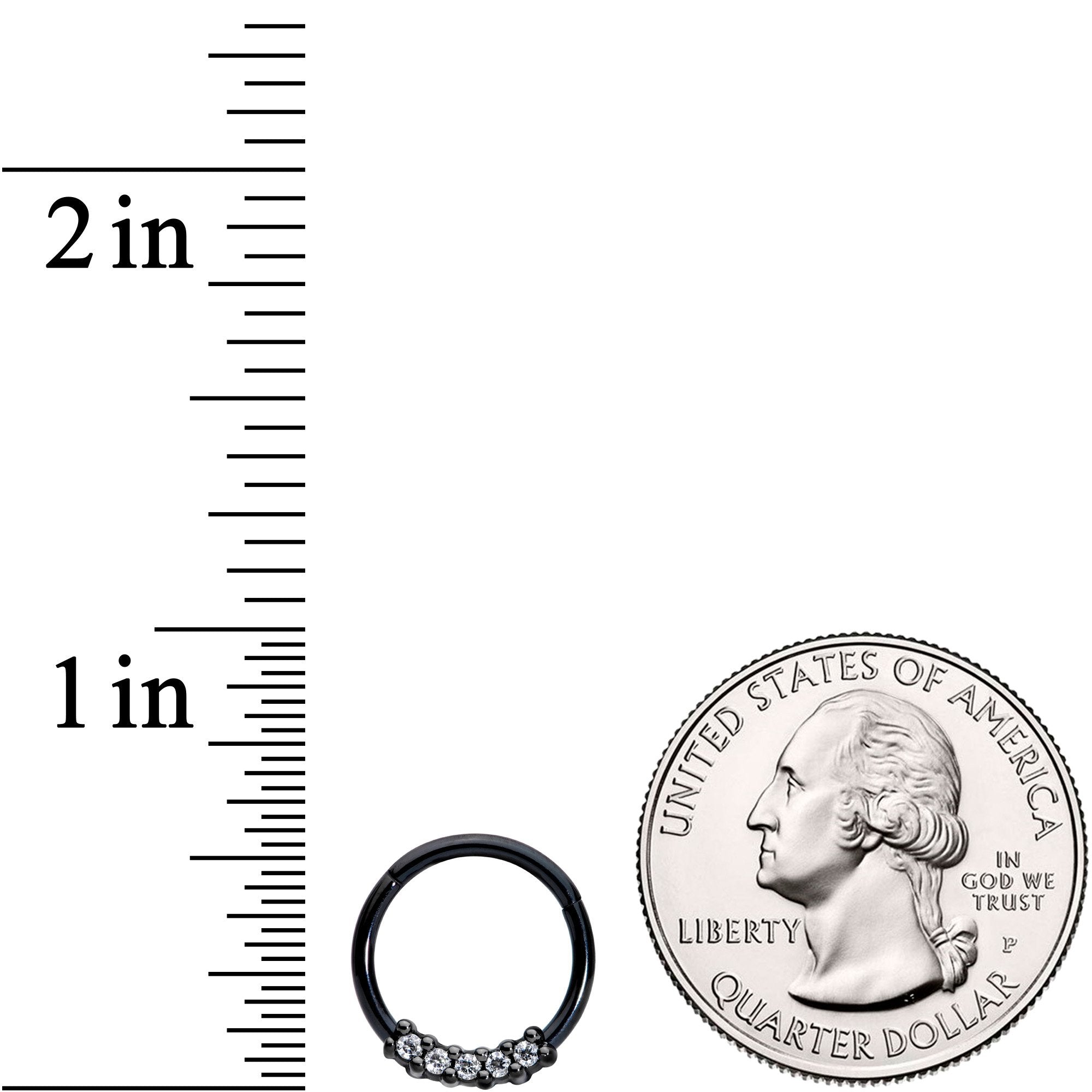 16G 3/8 Clear CZ Gem Black Hinged Segment Ring