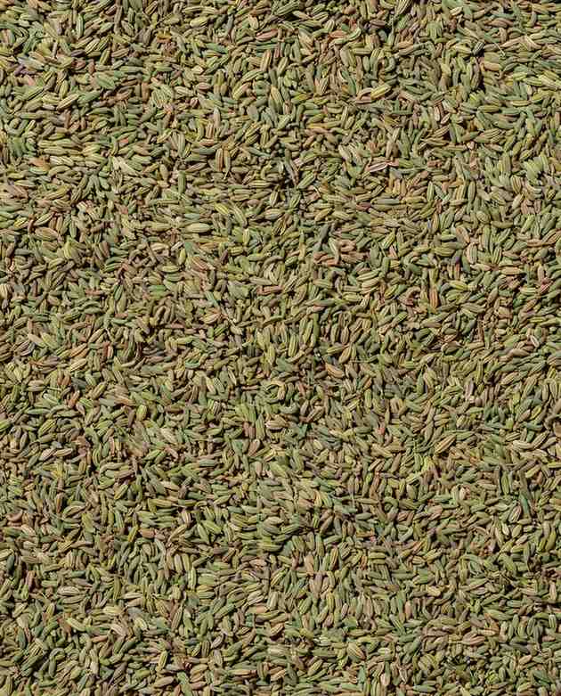 Hariyali Fennel