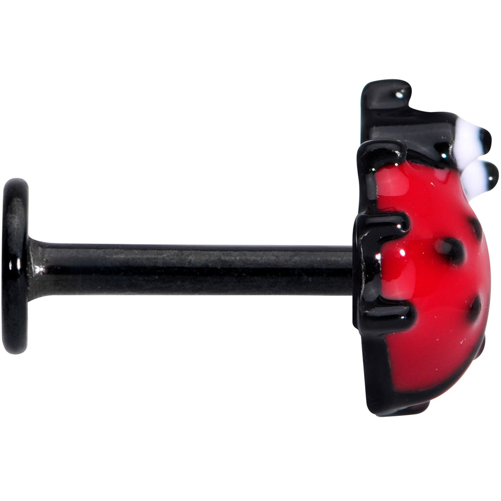 16G 5/16 Red Black Insect Ladybug Labret Monroe Tragus