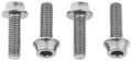 Wolf Tooth Water Bottle Cage Bolts - Set/4 Aluminum Silver