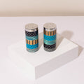 Colorful Salt and Pepper Shakers – Spice Series
