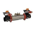 4" Double Check Detector BFG X Post Indicator Valve