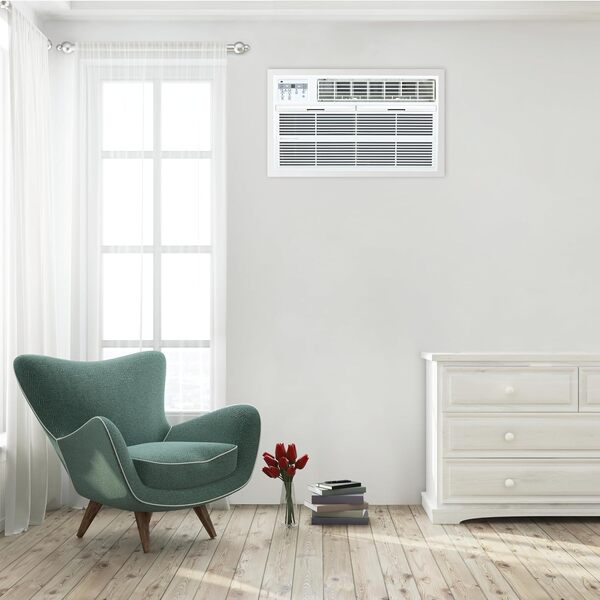 10,000 BTU Thru-the-Wall Air Conditioner, 115V (R32)