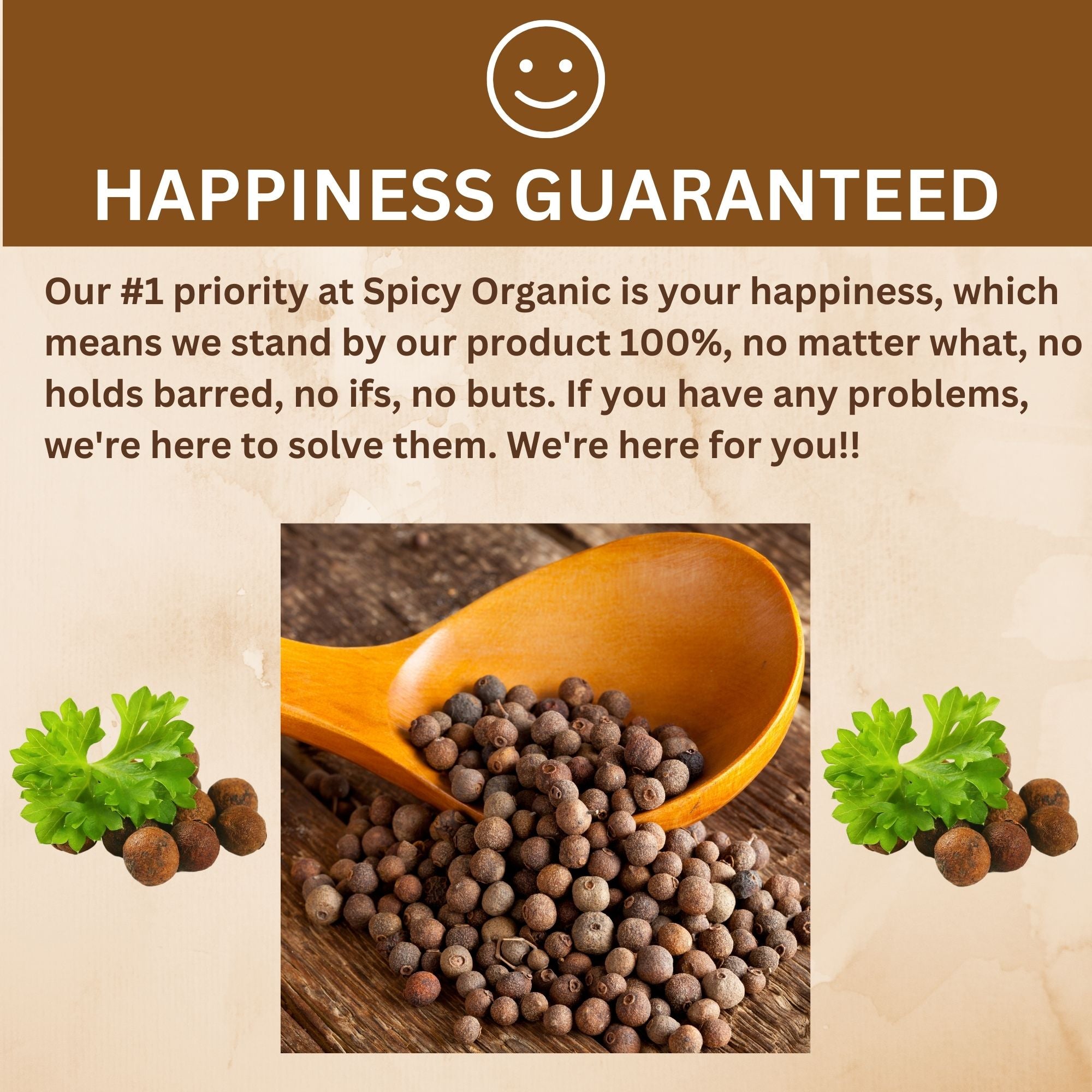 Organic Allspice Whole — USDA Certified | Pickling, Mulled Wine & Slow Cooking