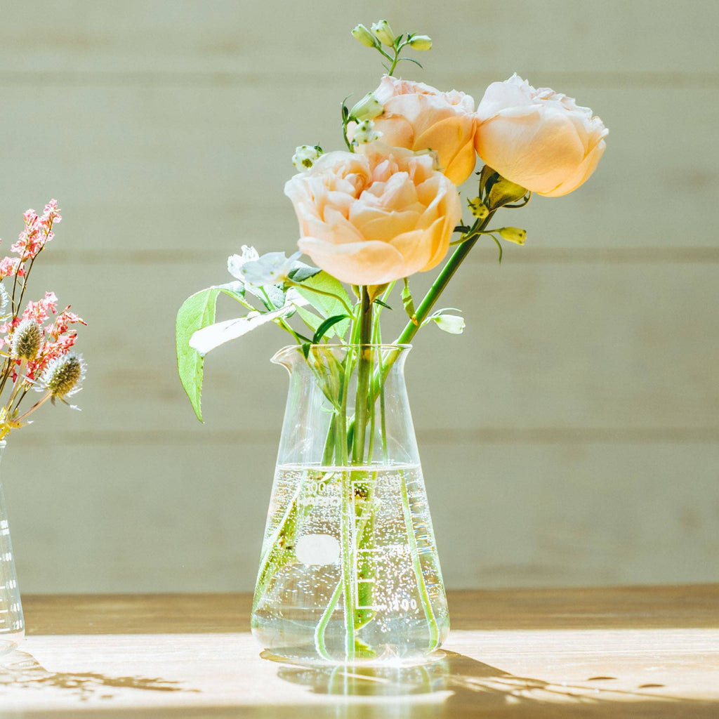 Hario - Conical Beaker Vase