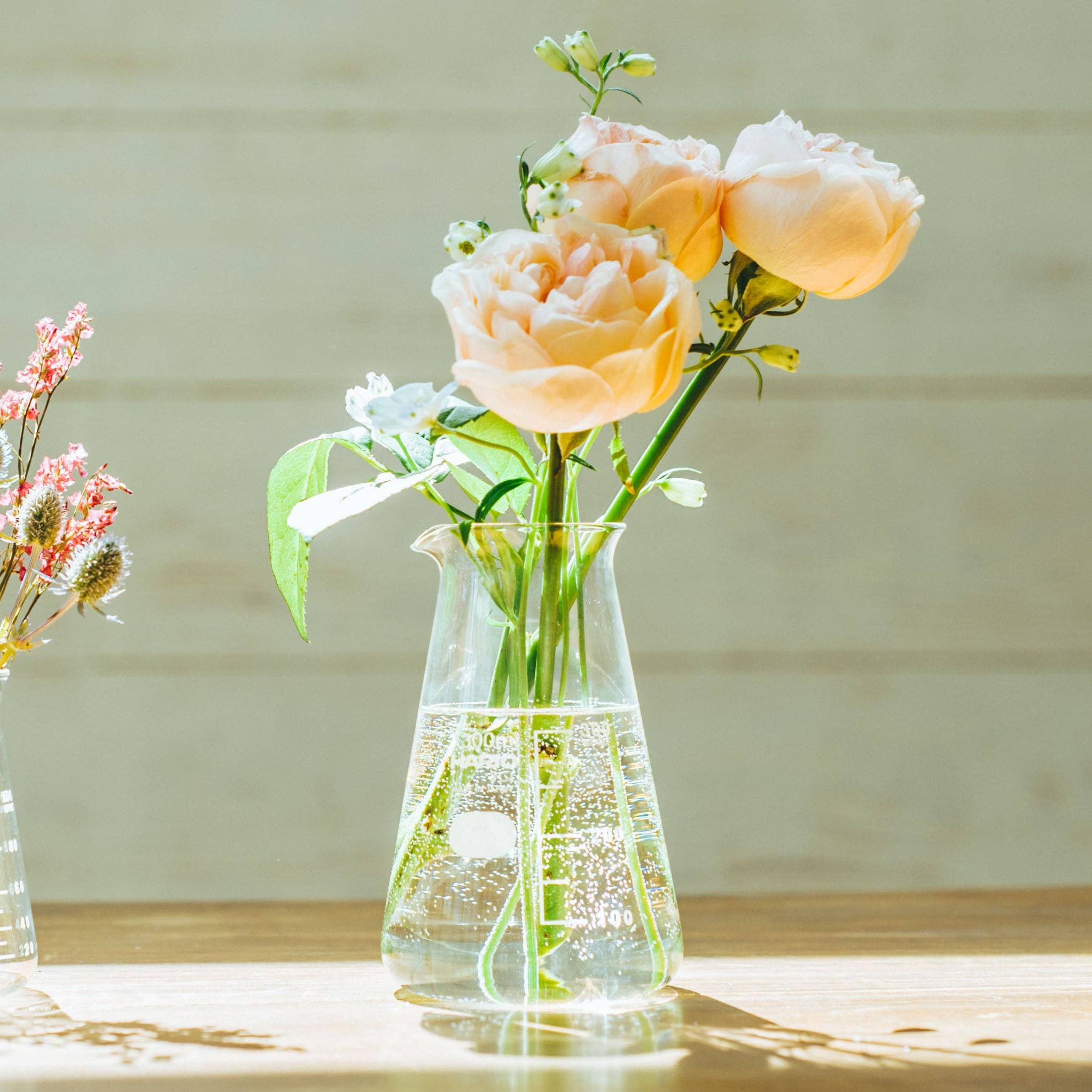 Hario - Conical Beaker Vase