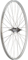 Quality Wheels Value Single Wall Series Coaster Brake Rear Wheel - 700c 3/8" x 124mm Coaster Brake 3 Prong Cog Silver 36H