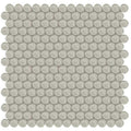 Earth Glass Penny Round Mosaic Tile Sheet 11.50 x 11.75 Inch