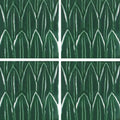 Aquatica Verde Deco Foglia Porcelain Pool Tile 6x6 - Glossy Mediterranean Finish