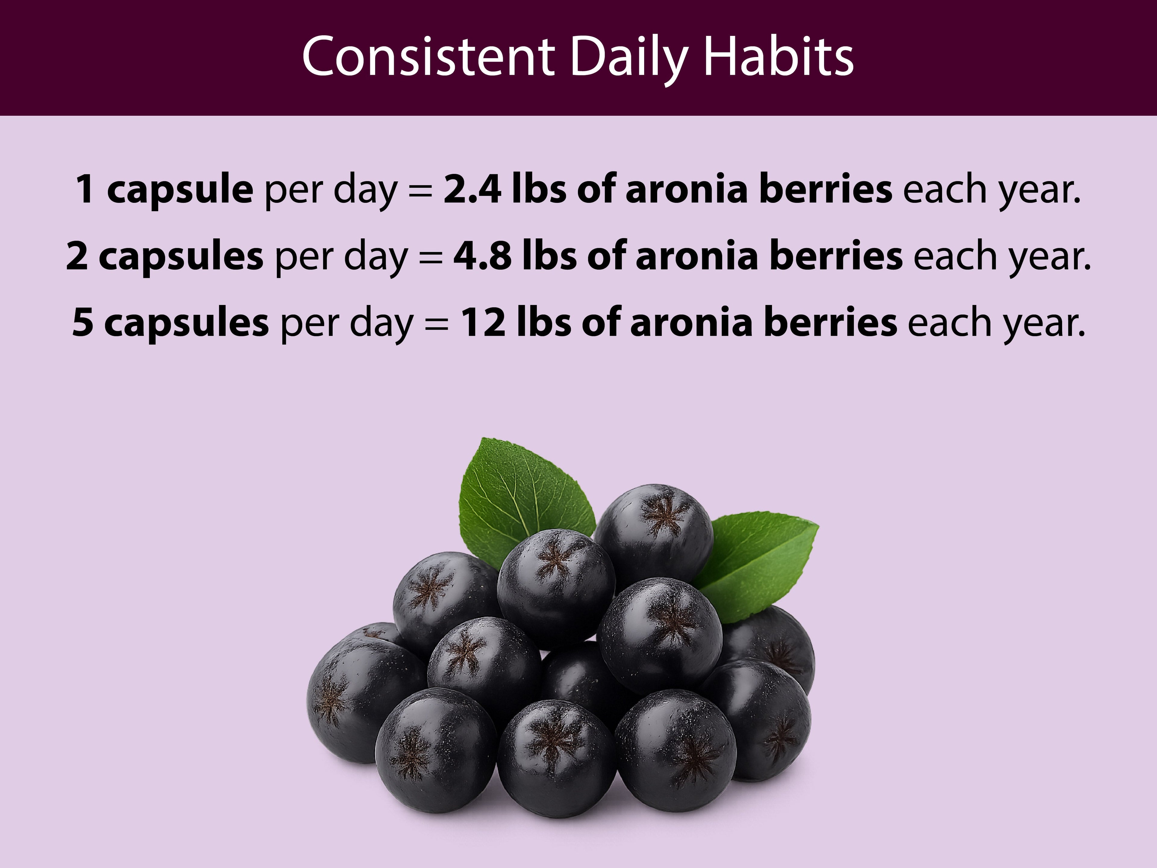 Organic Aronia Berry Capsules