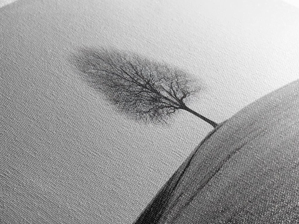 Loneliness - Framed Canvas Print Ready To Hang Wall Art - Thought Provoking Art - Moody Wall Art - Moody Painting - Black and White Dead Tree Art