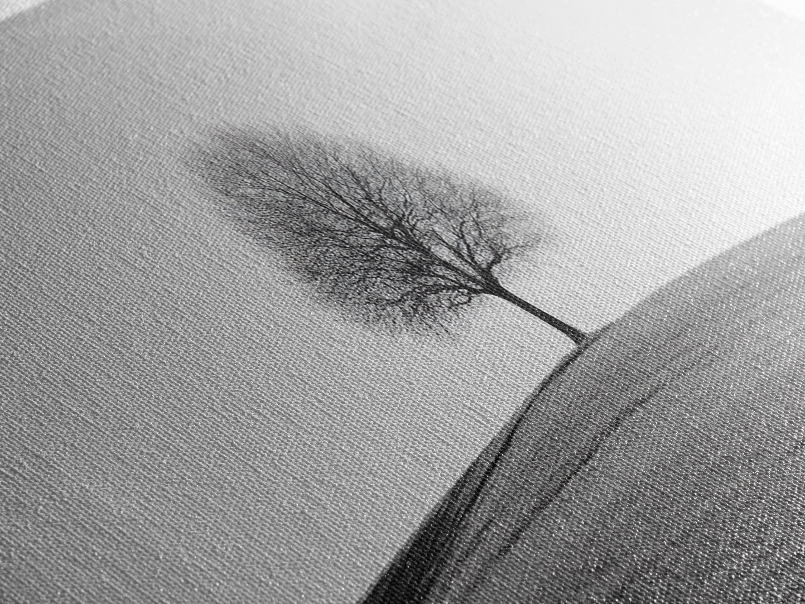 Loneliness - Framed Canvas Print Ready To Hang Wall Art - Thought Provoking Art - Moody Wall Art - Moody Painting - Black and White Dead Tree Art