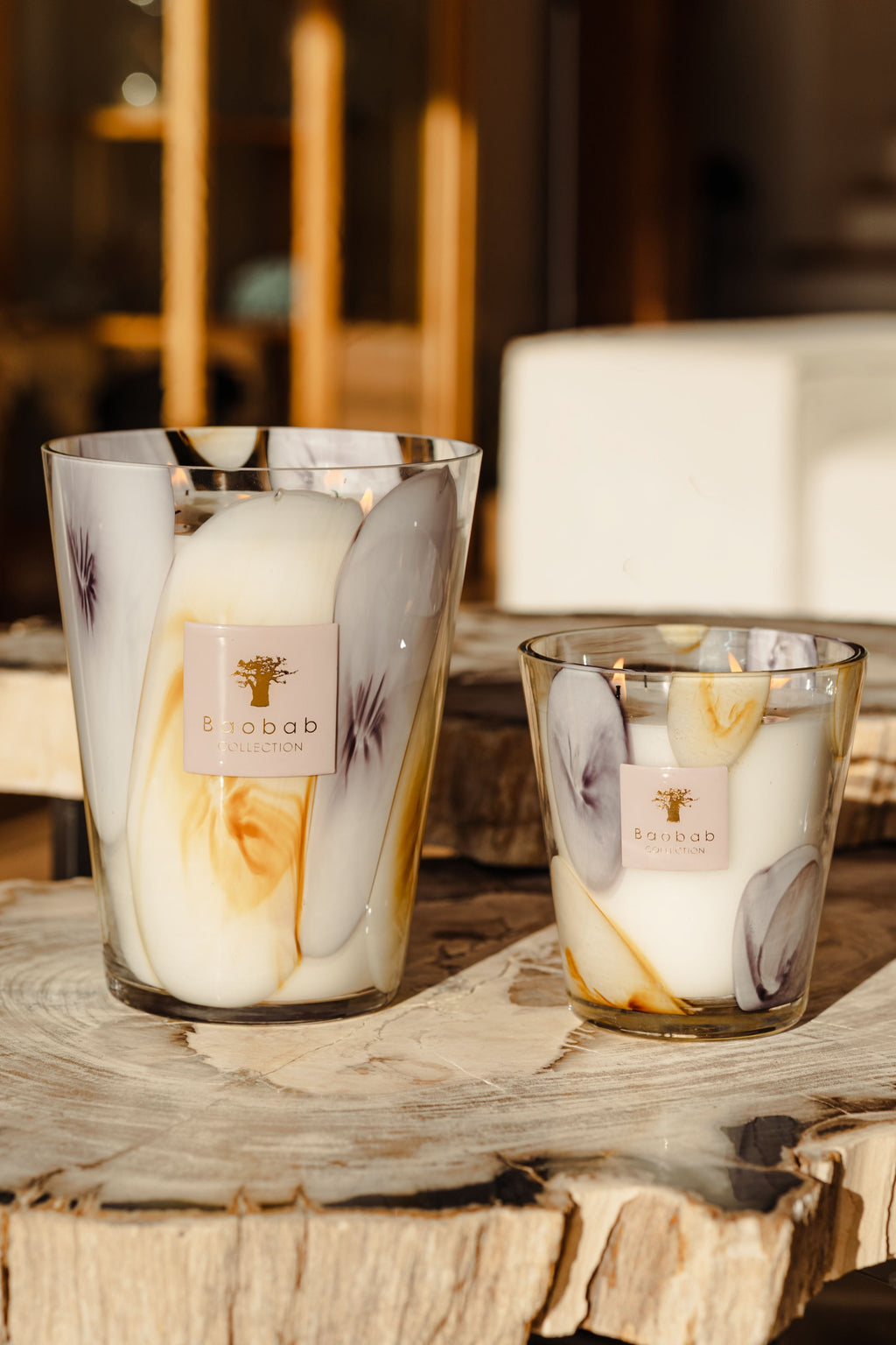 Baobab Collection EilenRoc Max 24 Candle