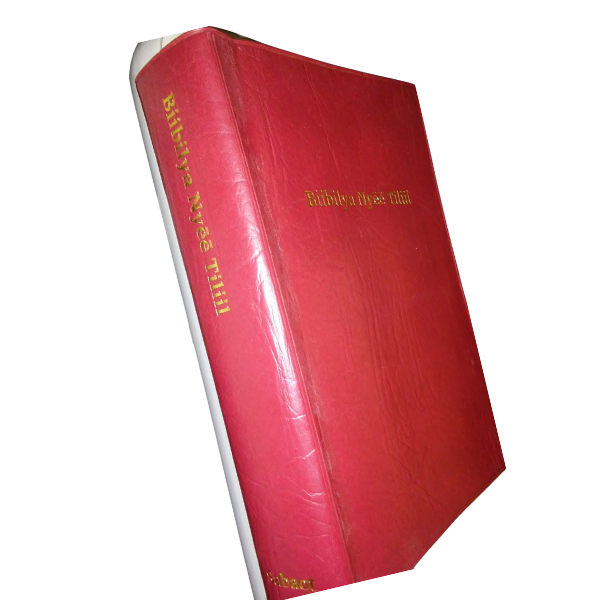 BIIBILYA NYEE TILTIIL: Sabaot Bible