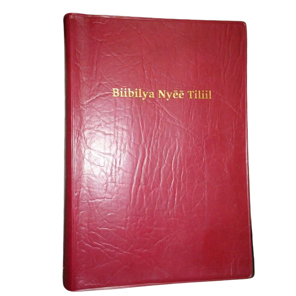 BIIBILYA NYEE TILTIIL: Sabaot Bible