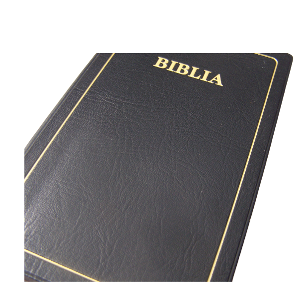 BIBLIA: MAANDIKO MATAKATIFU (Union Edition): Swahili Bible