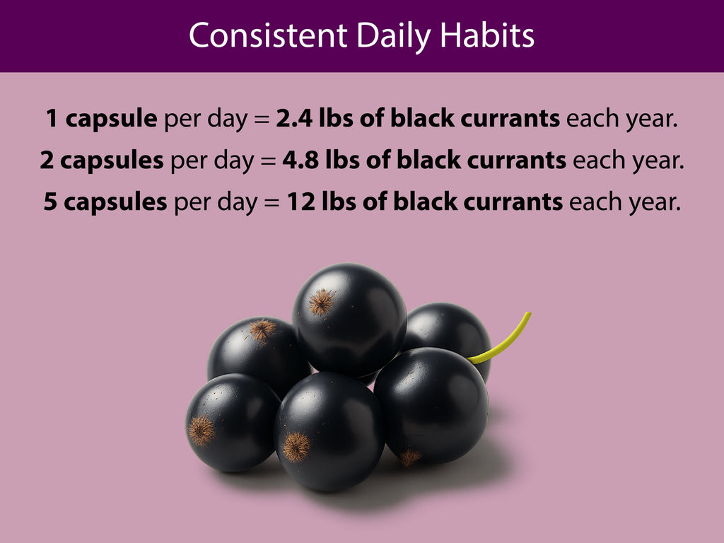 Organic Black Currant Capsules