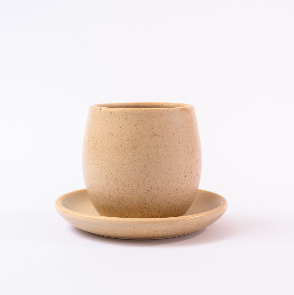 Oliva Cup & Saucer Set