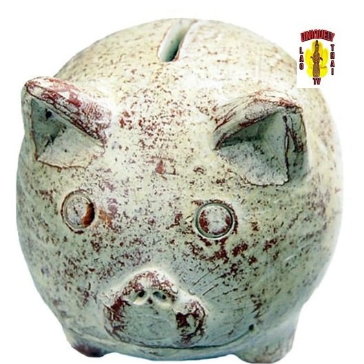 Ceramic Piggy Bank