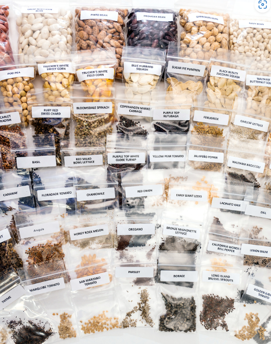 Prepper’s Special