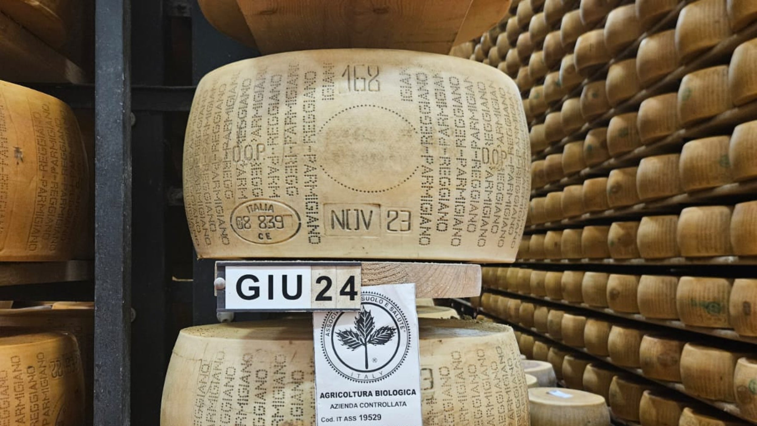 Parmigiano Reggiano Wheel | Aged 26+ months | ~85 pounds