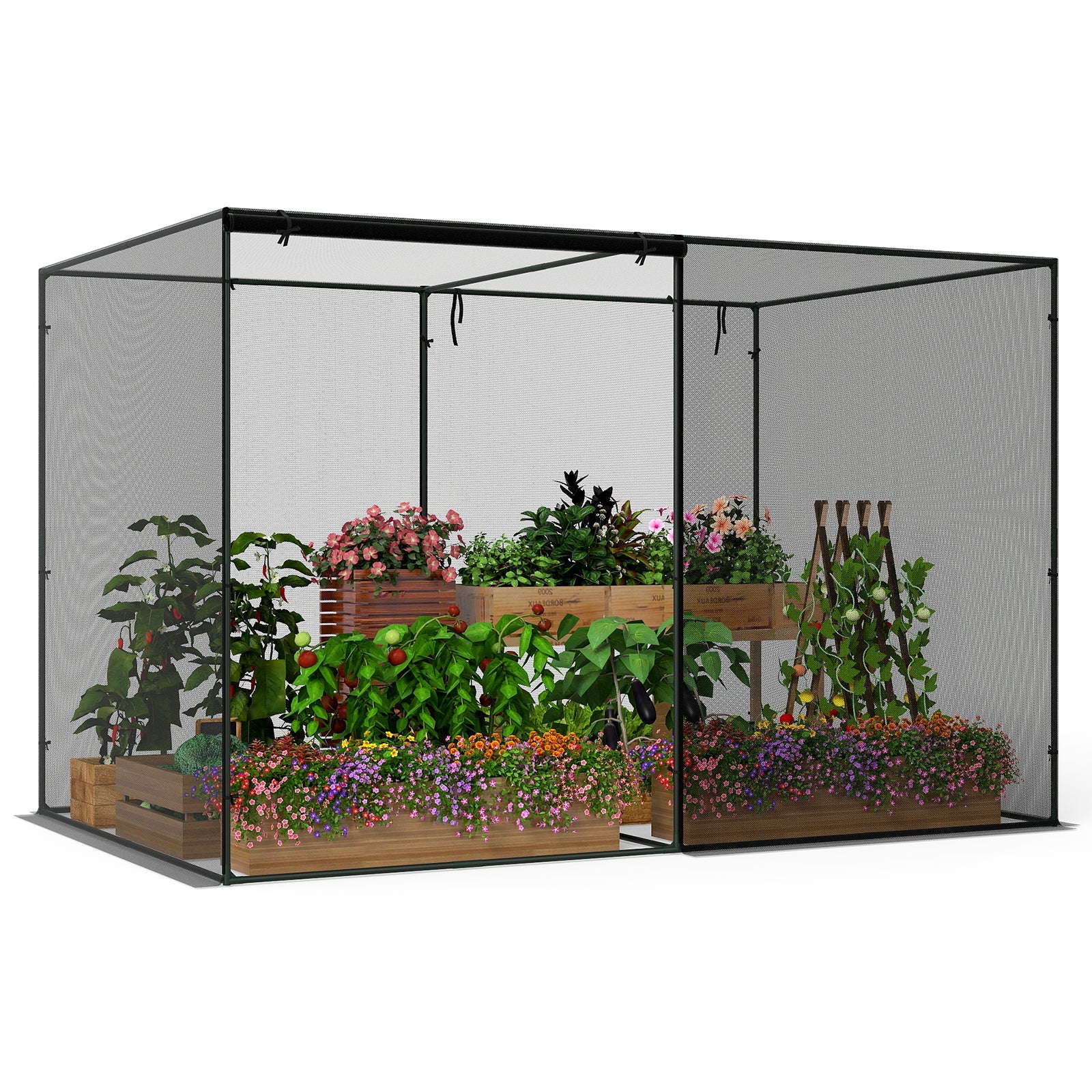 Crop Cages with 6 Ground Nails for Garden Plant