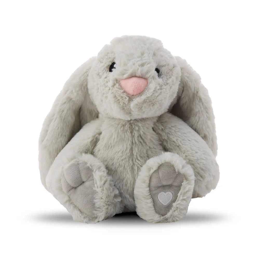 The Xander Bunny Box