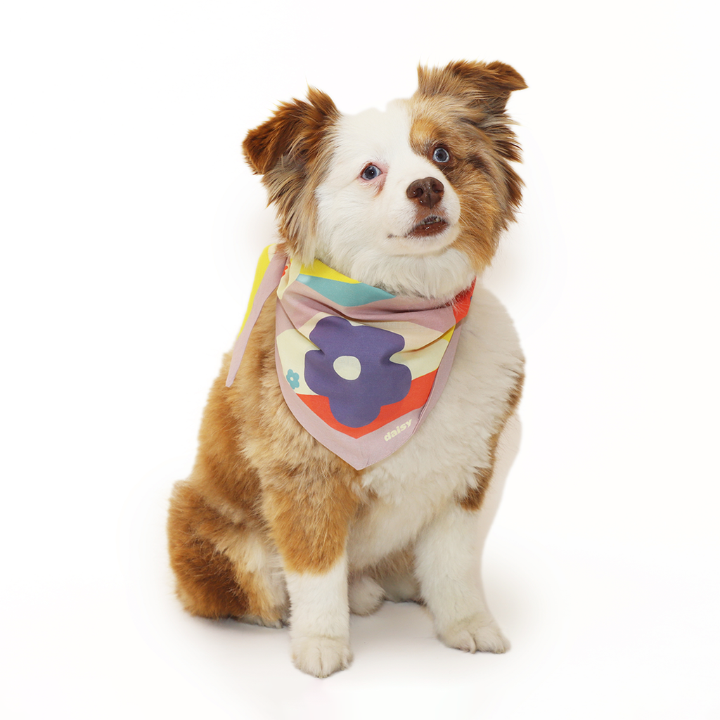 Daisy Scarf