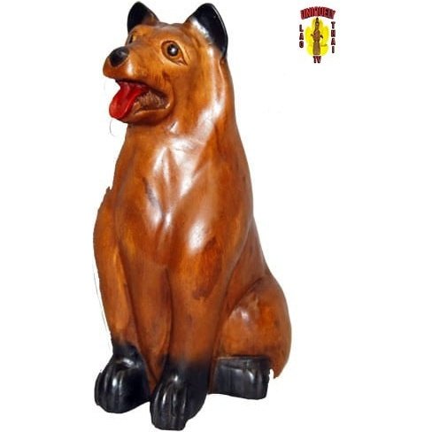 Dog Collie sitting Panting