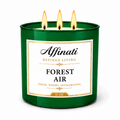 Forest Air 3-Wick Candle