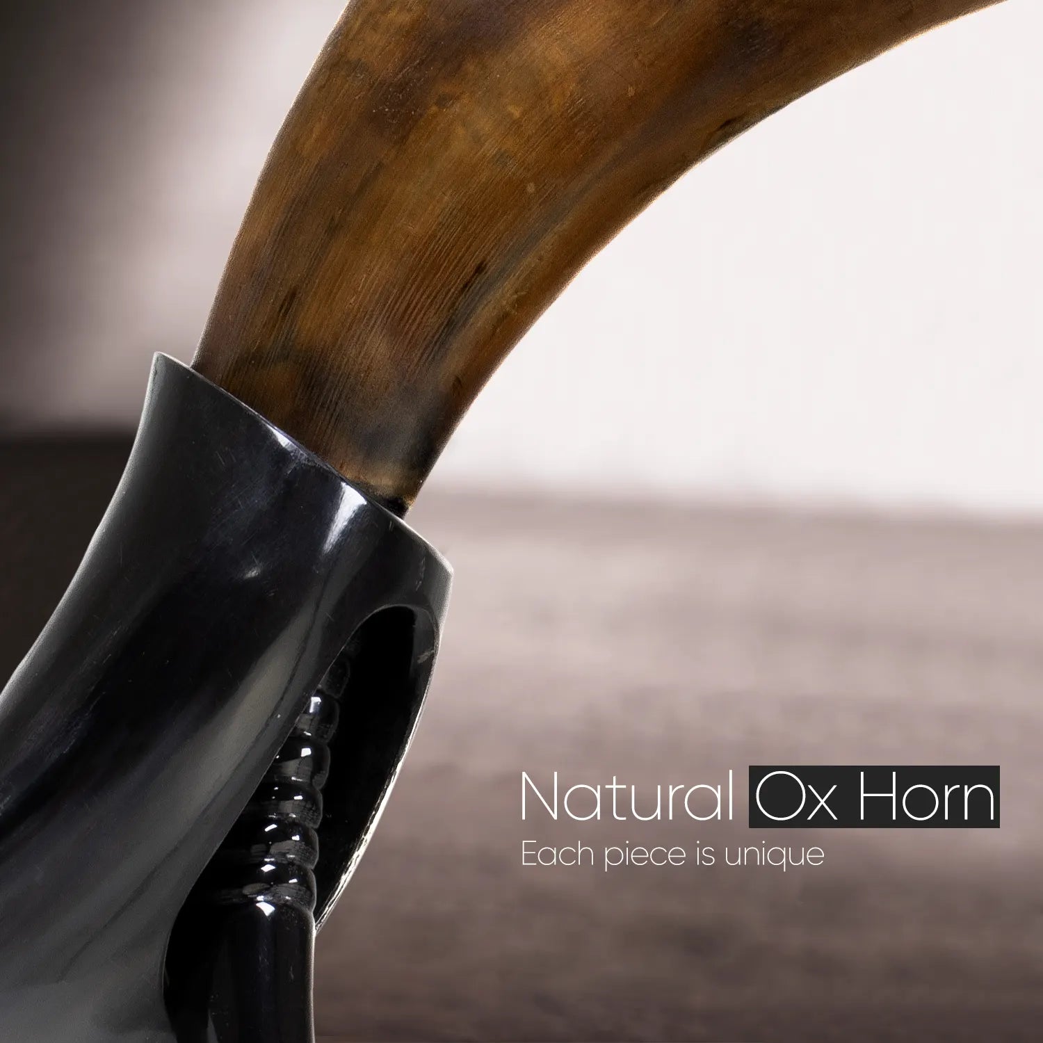Real Ox Horn Drinking Horn with Stand 16 oz Beer Mug Gift