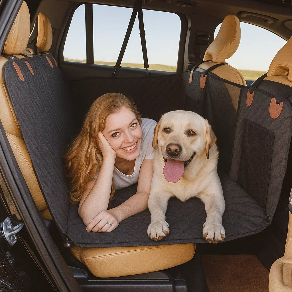 Dog Seat Extender